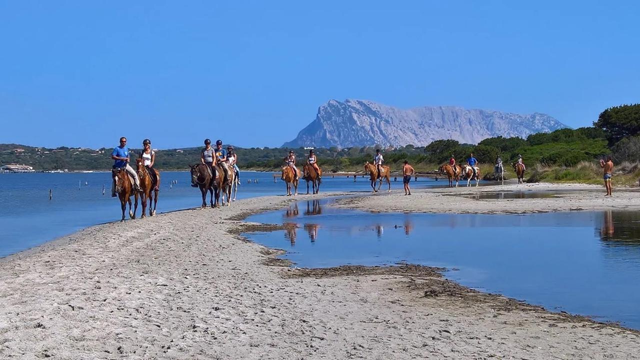 Appartamento Sette Posti Vicino Al Centro Di San Teodoro San Teodoro  Buitenkant foto