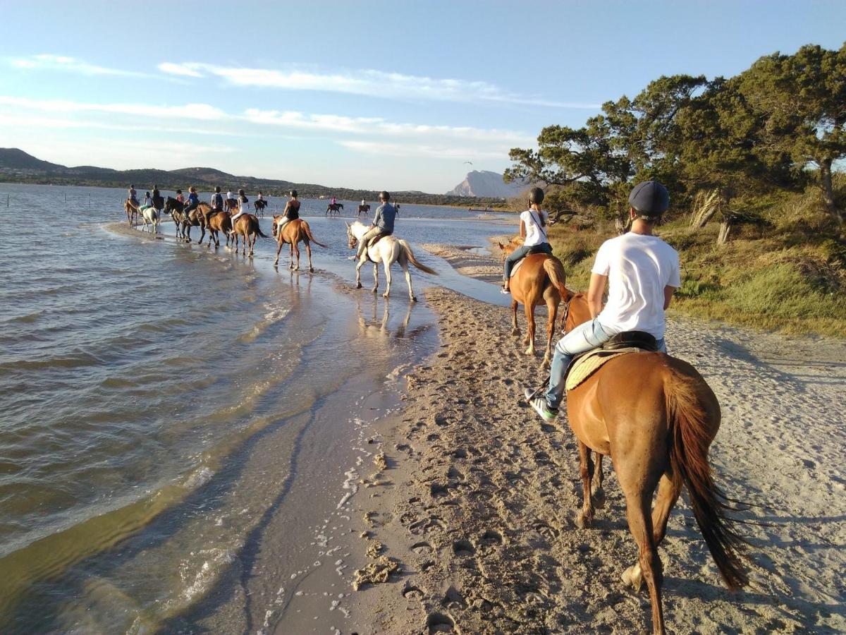 Appartamento Sette Posti Vicino Al Centro Di San Teodoro San Teodoro  Buitenkant foto